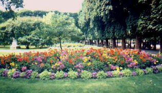 Клумба в Люксембургском саду